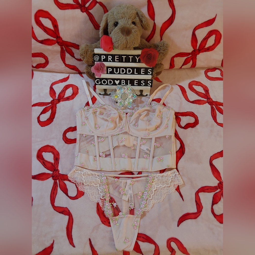 💐 2pc Dream Angels Rosebud Embroidery Corset Top & Thong Set 💐